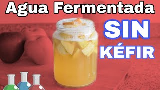 ❤️ ¿AGUA FERMENTADA DE FRUTAS SIN KÉFIR Explicado MUY FÁCIL 🍹 [upl. by Ellocin601]