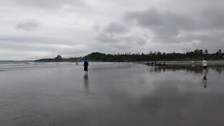 Cox Bay Beach  Tofino I Ucluelet  BC  Canada [upl. by Gregoor]