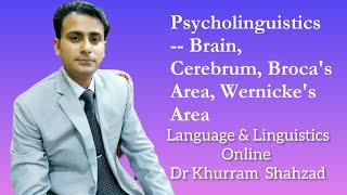 Psycholinguistics  Brain Cerebrum Brocas Area Wernickes Area [upl. by Annalla]