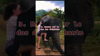 5 pièges que tu dois éviter lors de ton voyage en Thaïlande thailand bankok elephant [upl. by Warde764]