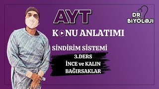 Sindirim Sistemi  3 Ders İnce ve Kalın Bağırsaklar 2025tayfa [upl. by Northrup]