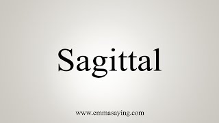 How To Say Sagittal [upl. by Vaenfila]