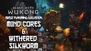 Best Mind Core amp Withered Silkworm Farming Location Route in Black Myth Wukong [upl. by Nnahoj]