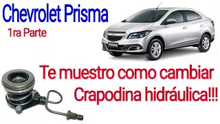 Te muestro como cambiar crapodina hidráulica chevrolet prisma [upl. by Aisinut]