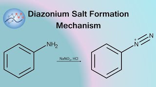 Diazonium Salt Formation Mechanism  Organic Chemistry [upl. by Introc]