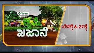 ತೂಬಗೆರೆ ಹಲಸು ದೊಡ್ಡಬಳ್ಳಾಪುರ  Tubagere Jackfruit  Vistara Krishi  Jackfruit Farming In Kannada [upl. by Satterlee]