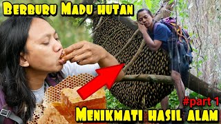 CARA SEDERHANA PANEN LEBAH MADU HUTAN [upl. by Yedoc423]