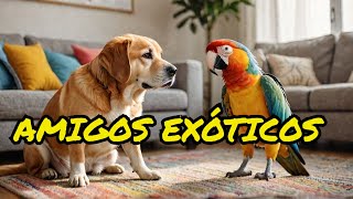 10 razas de perros que se llevan bien con mascotas exoticas [upl. by Kristy229]