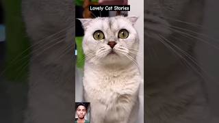 Black Magic 🪄 by Petkit Pura Max cat cats funny [upl. by Reider840]