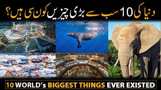 10 Biggest Things in the Universe 🌎 That Will SHOCK You 🤯 [upl. by Claudette51]