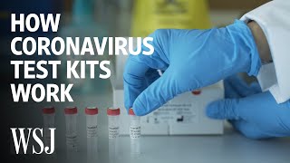 How Coronavirus Test Kits Work  WSJ [upl. by Eelyahs]