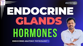 Endocrine System Physiology Malayalam Endocrine glands Hormones Introduction Malayalam [upl. by Nicolis453]