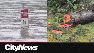 Power outages across BC caused by ‘bomb cyclone’ hit [upl. by Aihsekel]