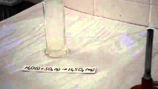 Formation of sulfurous acid [upl. by Schouten]