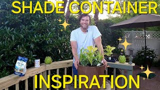 Shade Container Inspiration 🌱 Gardening with Grayson [upl. by Savannah]