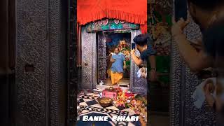 Are Banke Bihari ki dekh chhata song  Jay Shri Banke Bihari Dham [upl. by Araj895]