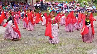 darpan chhaya cover dance video 15 august lolay sampu high secondary school student [upl. by Llerrad450]