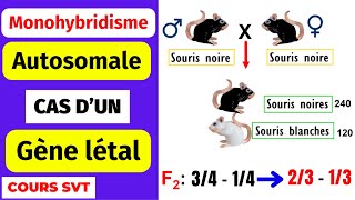 ✅Monohybridisme autosomal avec dominance absolue le cas du gène létal [upl. by Nageem957]