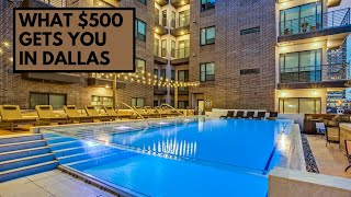 WHAT 500 GETS YOU IN DALLAS  apartment shopping [upl. by Otreblanauj]