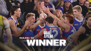 Treloars boundary line stunner earns Goal of the Year nomination  Round 9 2024  AFL [upl. by Grissel]