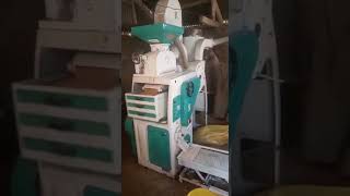 Mini Rice Mill Capacity 600kghr [upl. by Scotti]