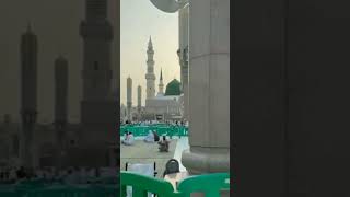 pyare Nabi sallallahu alaihi wasallam [upl. by Adyam]