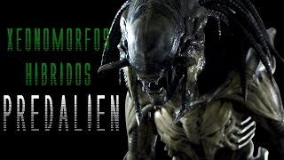 XENOMORFOS HIBRIDOSPREDALIEN  MaxiLunaPMY [upl. by Claudianus]