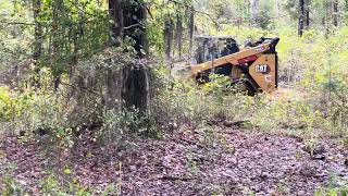 Extreme Brush Mulching with cat 299D3 mulching landclearing forestrymulcher [upl. by Rissa499]