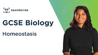 Homeostasis  91 GCSE Science Biology  OCR AQA Edexcel [upl. by Aland513]