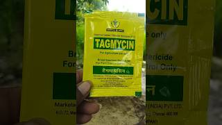 Streptomycin sulphate tetracycline hydrochloride 9010 tagmycin tropical agro antibiotic shorts [upl. by Derk]