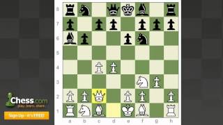 Chess Openings How to Play the Queens Indian [upl. by Raseda]