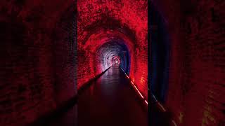 Brockville tunnel walk… canada brockville brockvilletunnel amazing travel video news tour [upl. by Jim642]