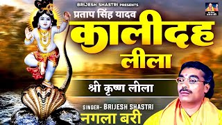 NAGLA BARI BRIJESH SHASTRI BHAGVAT KATHAyoutubeshorts music trending brijeshshastri bhakti [upl. by Annanhoj]