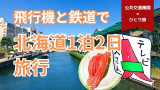 【免許なし旅】飛行機と鉄道だけで北海道1泊2日旅行！札幌・小樽でグルメと定番観光スポットを巡る旅へ [upl. by Attevaj]