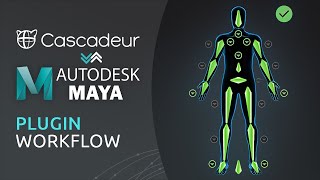 Cascadeur to Autodesk Maya  Bridge Plugin Workflow Tutorial [upl. by Valerie]