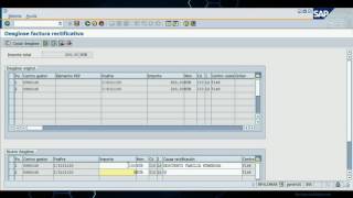 Registro de facturas rectificativas desglosadas [upl. by Droffig]