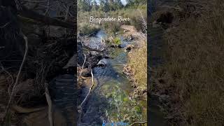 Bungendore River New South Wales  Winnier14Vlogs [upl. by Aleinad668]