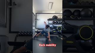 Back mobility [upl. by Ashli]