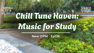 Palmtrees 🍯 Chill Tune Haven Music for Study ☕ Ep136 [upl. by Burne]