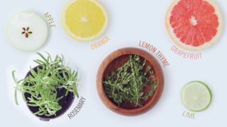 How to make the perfect citrus and herbaceous gin and tonic [upl. by Ynaittirb]