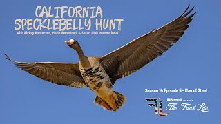 Big Decoy Spread and Good Shooting Makes for a Unreal California Specklebelly Goose Hunt [upl. by Kendry850]