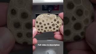 Polishing a Petoskey Stone FOSSIL [upl. by Airdni]