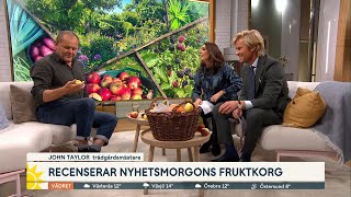 Trädgårdsmästaren om hur du enkelt kan odla hemma  Nyhetsmorgon  TV4 amp TV4 Play [upl. by Drooff]