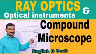 Compound microscope [upl. by Joyan]