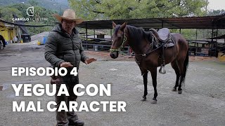 Yegua con Mal Caracter  Episodio 4  Pablo Saldarriaga Doma Racional [upl. by Htiderem906]