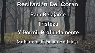 Recitación Del Sagrado Corán Para Relajarse y Aliviar Tristeza por Muhammad Usman Andalusi [upl. by Marylynne]