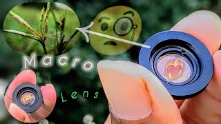 Macro photography for photos video macro lens [upl. by Brookhouse151]