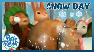 The Rabbits Snowy Adventures ❄️❄️❄️ PeterRabbit Winter Shorts​ [upl. by Faubert]