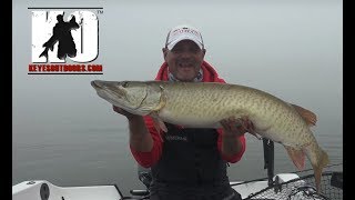 Solo Musky Fishing in Green Bay Wisconsin [upl. by Sawyer]