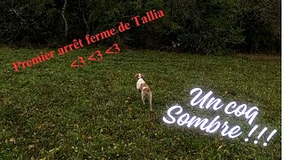 chasse au petit gibier avec Tallia premier arrêt ferme 😍💕👏 [upl. by Nylknarf19]